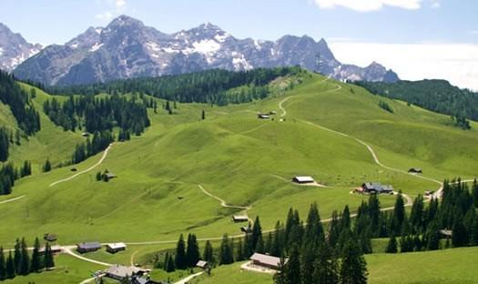 Fewo Schlosspark Grubhof Sankt Martin bei Lofer Kültér fotó